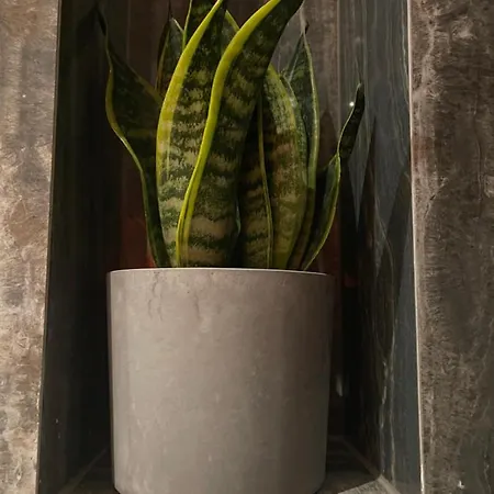 Mangio Silver Appartement Dubrovnik